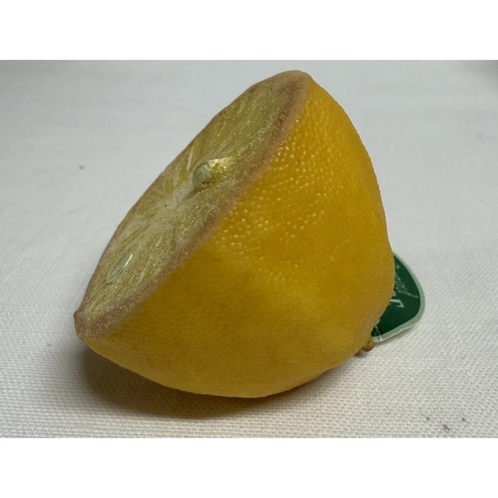 Winward Produce Lemon Faux Fruit Realistic Simulation Hand Painted Prop Decor 15